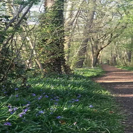 Holiday home Pet Friendly With Garden *