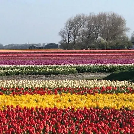 Cosy On Quiet Near Sint Maartensbrug