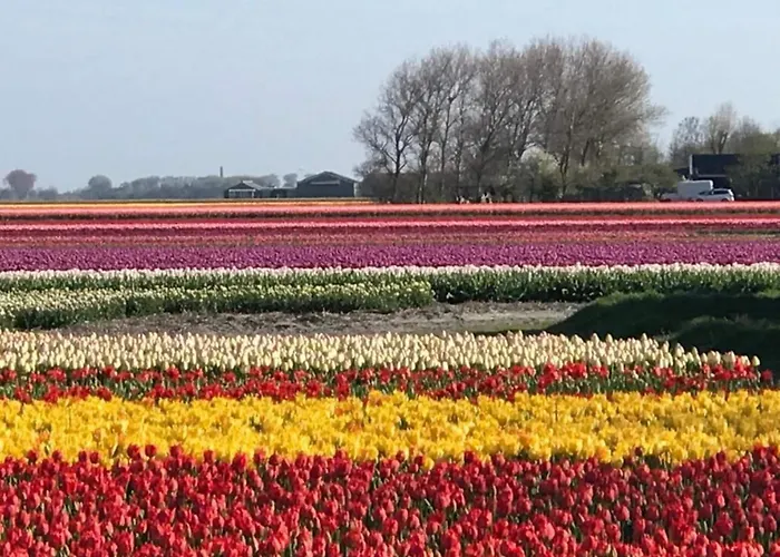 Cosy On Quiet Near *