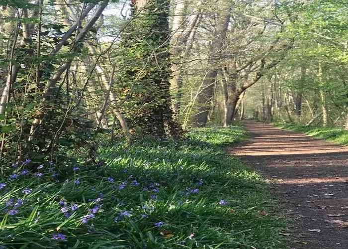 Tatil Evi Cosy On Quiet Near *