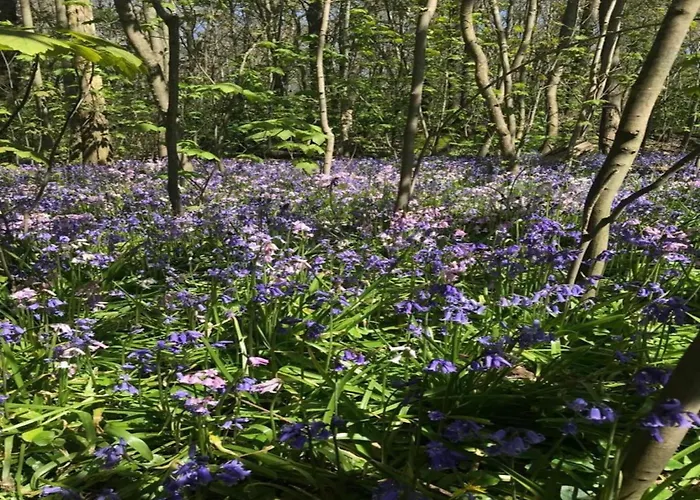 Cosy On Quiet Near * Sint Maartensbrug