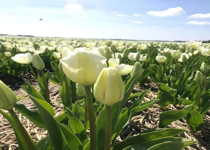 Cosy On Quiet Near Tatil Evi *