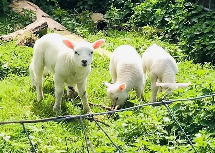 Tatil Evi Cosy On Quiet Near *