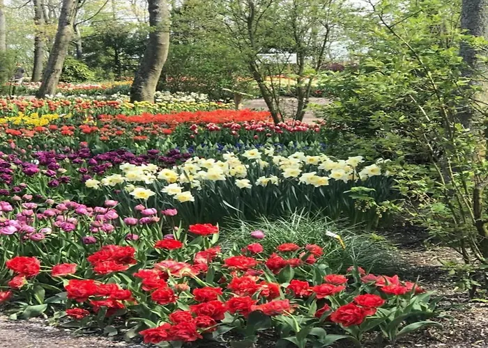 Cosy On Quiet Near Sint Maartensbrug