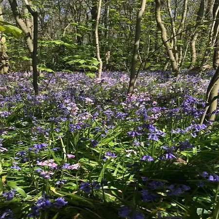 Cosy On Quiet Near * Sint Maartensbrug