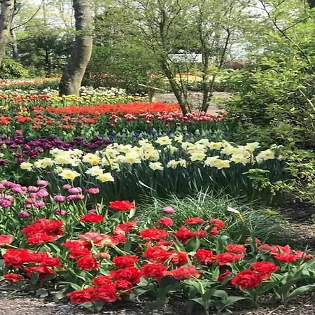 Cosy On Quiet Near Sint Maartensbrug